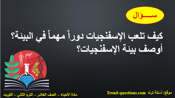 أوصف بيئة الإسفنجيات؟