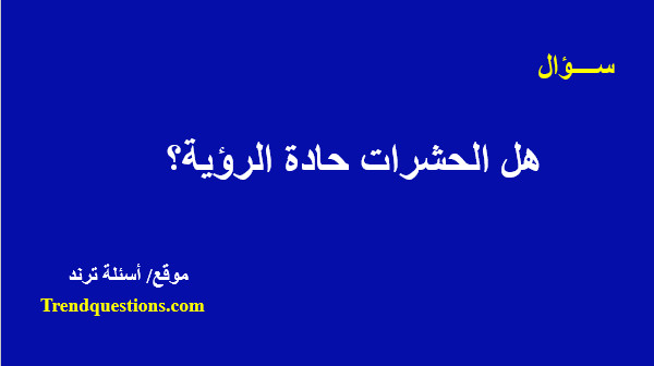 هل الحشرات حادة الرؤية؟