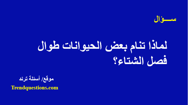 لماذا تنام بعض الحيوانات طوال فصل الشتاء؟