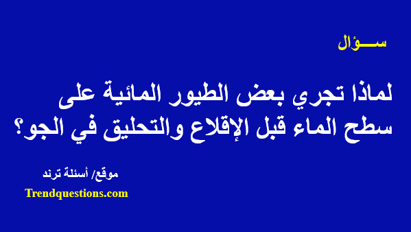 لماذا تجري بعض الطيورالمائية على سطح الماء قبل الإقلاع والتحليق في الجو؟