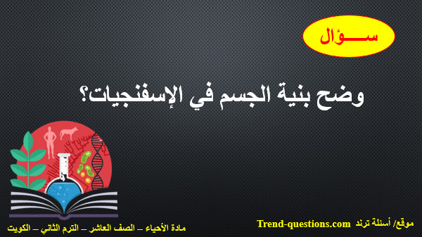 وضح بنية الجسم في الإسفنجيات؟