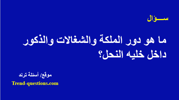 ما هو دور الملكة والشغالات والذكور داخل خليه النحل؟