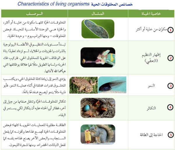 خصائص المخلوقات الحية