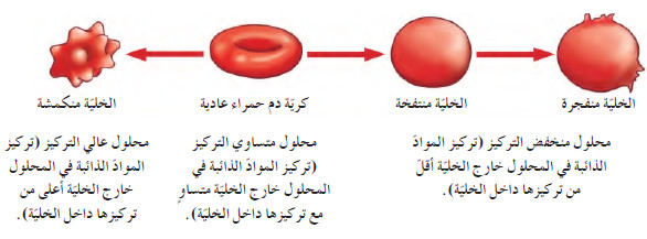 آليات النقل السلبي في الخلية