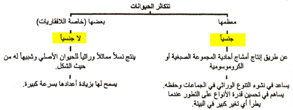 التكاثر والنمو فى الحيوانات