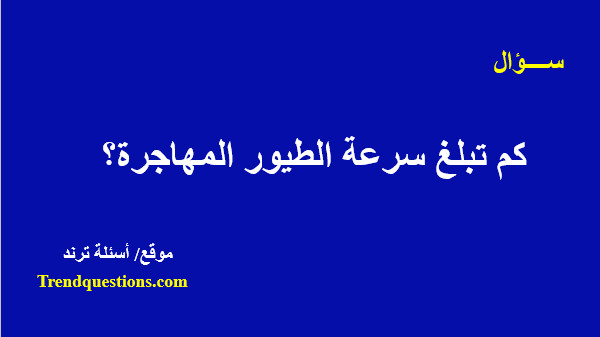 كم تبلغ سرعة الطيور المهاجرة؟