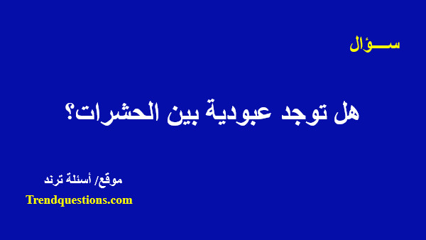 هل توجد عبودية بين الحشرات؟