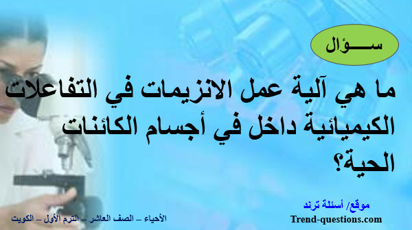 ما هي آلية عمل الانزيمات في التفاعلات الكيميائية داخل في أجسام الكائنات الحية؟