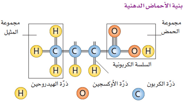 الدهون