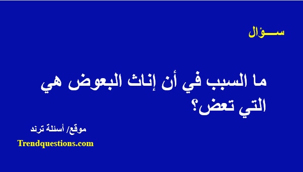 ما السبب في أن إناث البعوض هي التى تعض؟