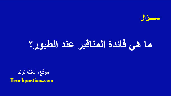 ما هي فائدة المناقير عند الطيور؟