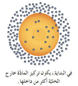 آليات النقل السلبي في الخلية