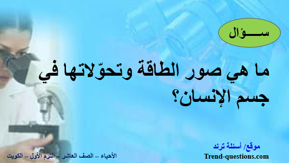 ما هي صور الطاقة وتحوّلاتها في جسم الإنسان؟