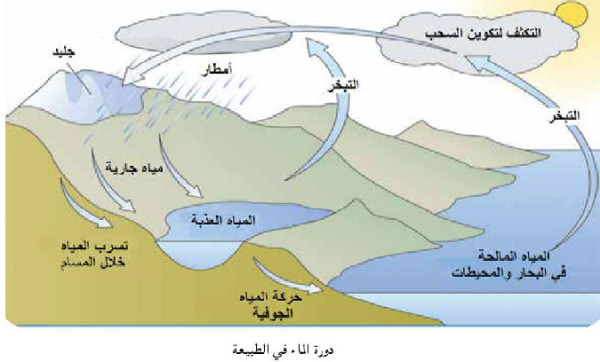 دورة الماء فى الطبيعة