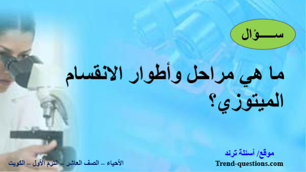 ما هي مراحل وأطوار الانقسام الميتوزي؟