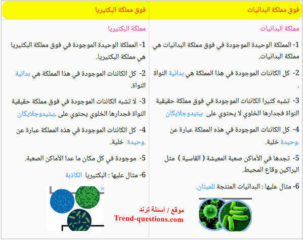 مقارنة بين البدائيات والبكتريا