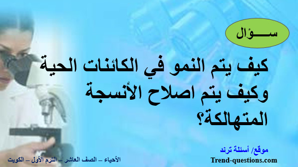 كيف يتم النمو في الكائنات الحية وكيف يتم اصلاح الأنسجة المتهالكة؟