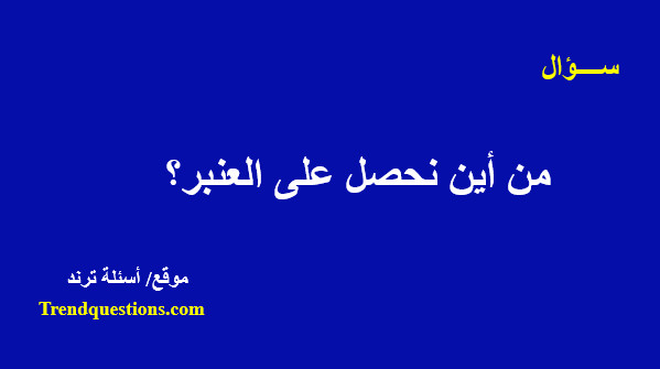 من أين نحصل على العنبر؟