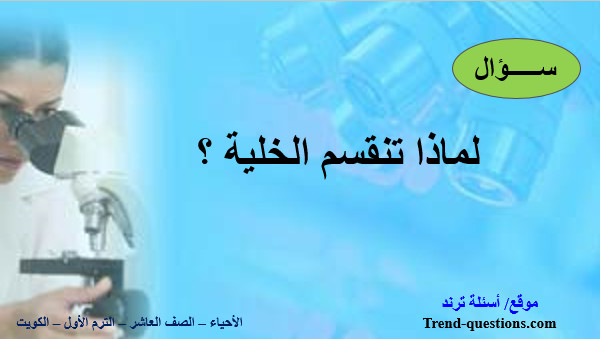 لماذا تنقسم الخلية؟