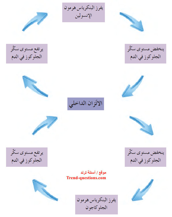 التنظيم والاتزان الجسمي عند الكائنات الحية