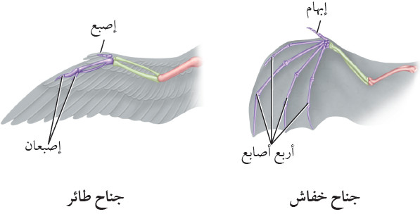 ما هي خصائص العلم الطبيعي؟