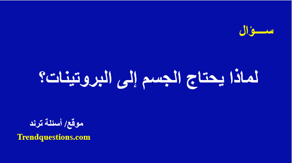 لماذا يحتاج الجسم إلى البروتينات؟