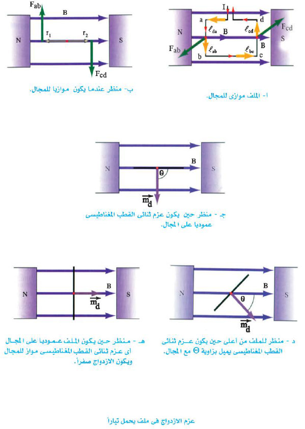 القوة والعزم المؤثران على ملف مستطيل يمر به تيار كهربى موضوع في مجال مغناطيسي