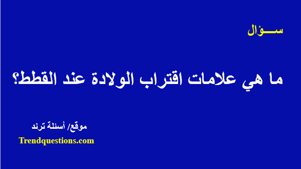 ما هي علامات اقتراب الولادة عند القطط؟