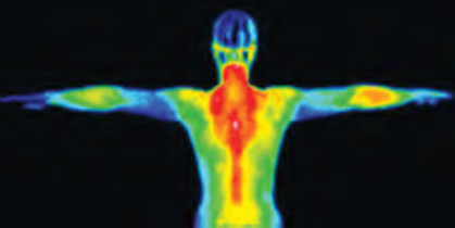 صور الطاقة وتحولاتها في جسم الإنسان