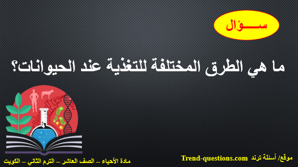 ما هي الطرق المختلفة للتغذية عند الحيوانات؟