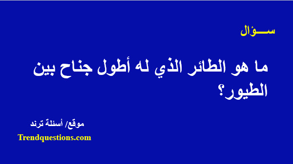 ما هو الطائر الذي له أطول جناح بين الطيور؟