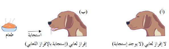 الوظائف الحيوية السبعة عند الحيوانات