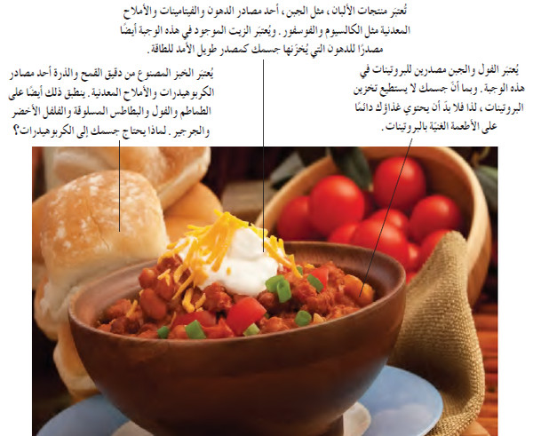 المركبات العضوية التي تتكون منها أجسام الكائنات الحية