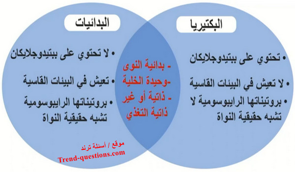 الأساس المنطقي الذي أتخذه علماء التصنيف لوضع بدائية النوى في مجموعتين بدلاً من مجموعة واحدة