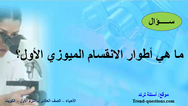 ما هي أطوار الانقسام الميوزي الأول؟
