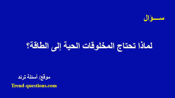 لماذا تحتاج المخلوقات الحية إلى الطاقة؟