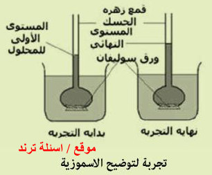 الأسموزية والضغط الأسموزي