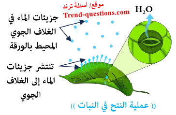 دورة الماء في الطبيعة (الدورة الهيدرولوجية)