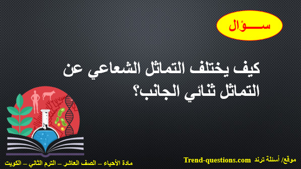 كيف يختلف التماثل الشعاعي عن التماثل ثنائي الجانب؟