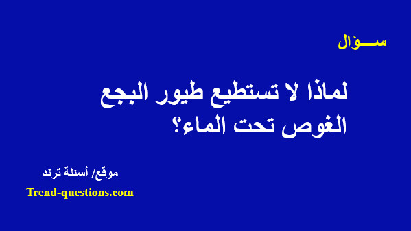 لماذا لا تستطيع طيور البجع الغوص تحت الماء؟