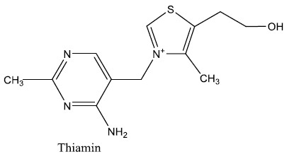 ما هى أهمية فيتامين (B1) للجسم؟