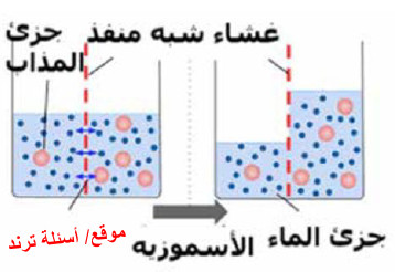 أنواع التكيفات البيولوجية للكائنات الحية في البيئة المائية