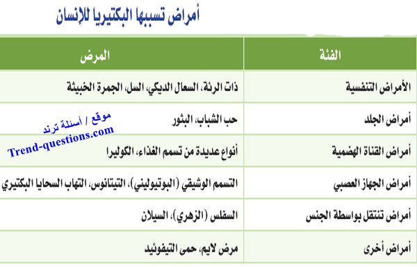 ما هي الأمراض التي تسببها البكتيريا للإنسان؟