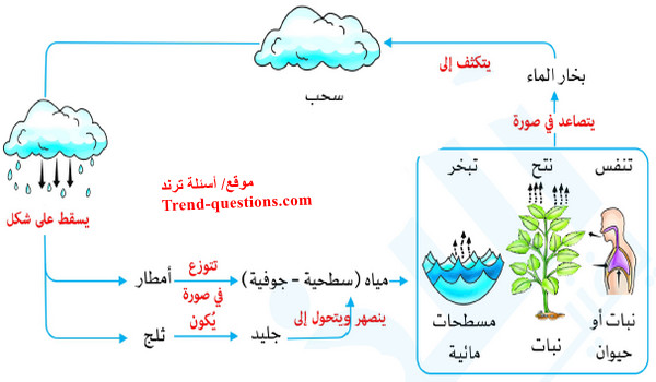 دورة الماء في الطبيعة (الدورة الهيدرولوجية)