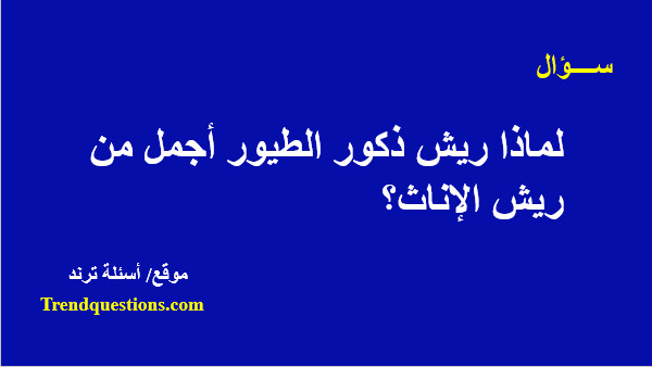 لماذا ريش ذكور الطيور أجمل من ريش الإناث؟