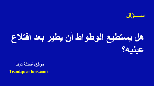 هل يستطيع الوطواط أن يطير بعد اقتلاع عينيه؟