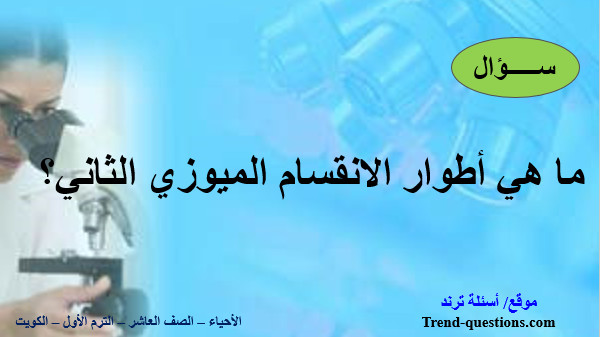 ما هي أطوار الانقسام الميوزي الثاني؟