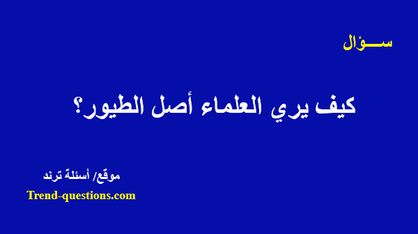 كيف يري العلماء أصل الطيور؟