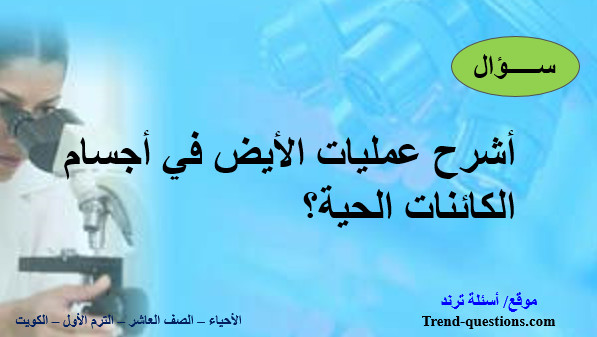 أشرح عمليات الأيض في أجسام الكائنات الحية؟