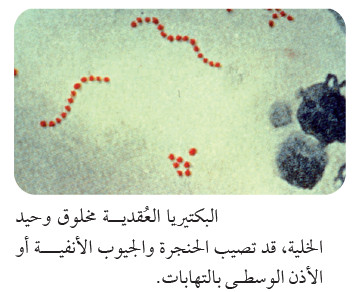 خصائص المخلوقات الحية